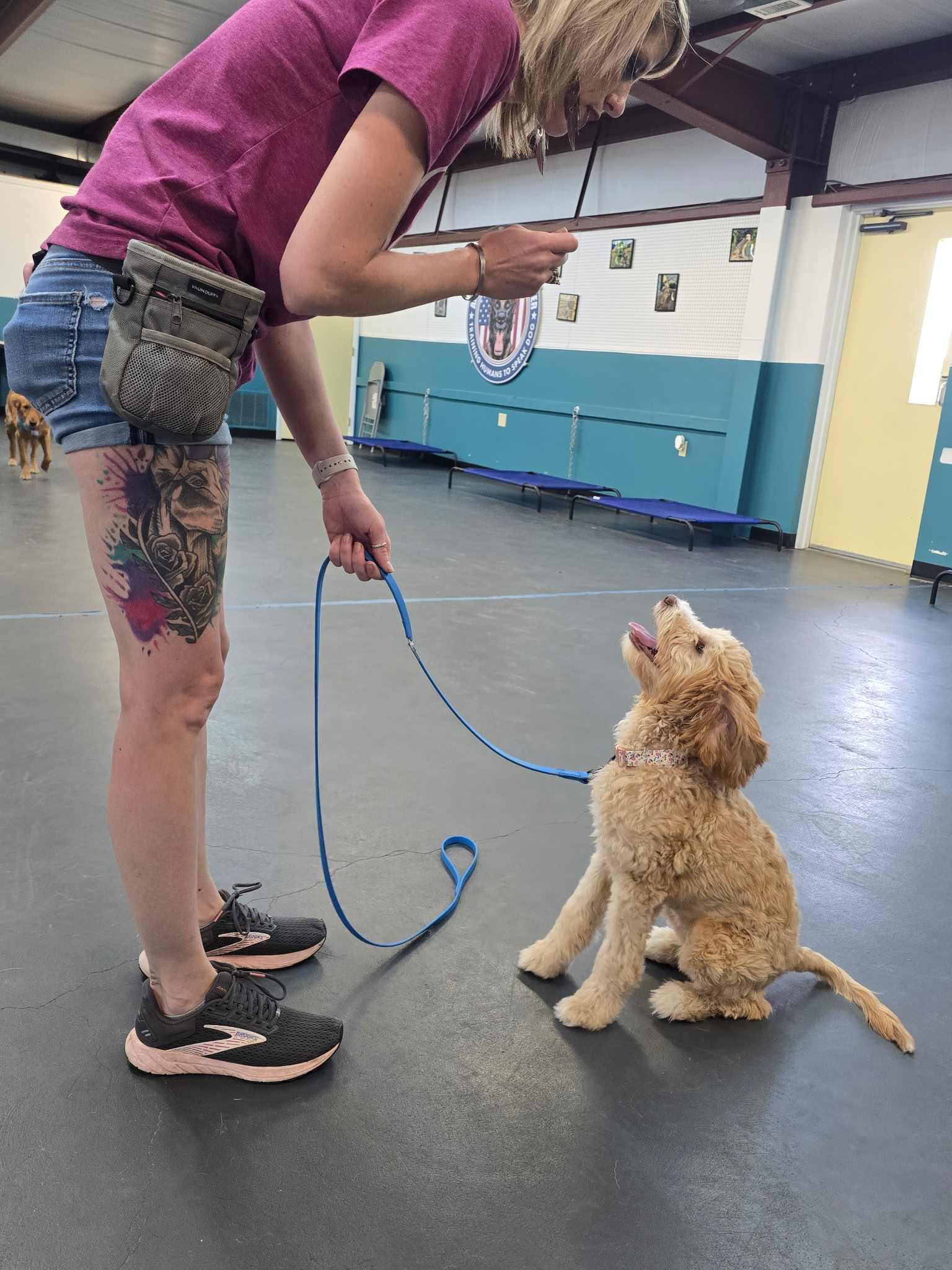 Hands-on dog training in a real-world setting